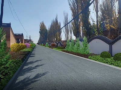 现代乡村街道绿化 路面