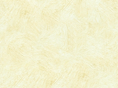 派其蒙艺术涂料