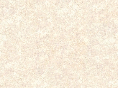 威尼斯经典艺术涂料