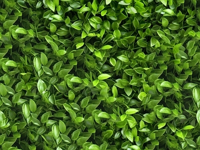 绿色绿植墙