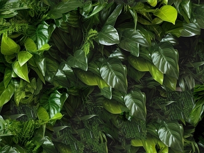 绿色绿植墙