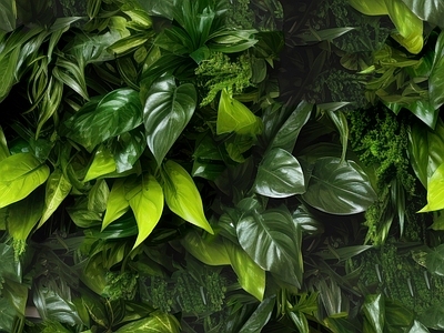 绿色绿植墙