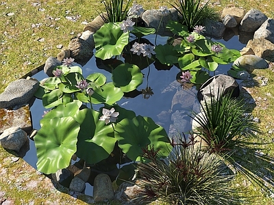 现代生态鱼池 水池鱼池 荷花池 观赏鱼池 水池 假山跌水