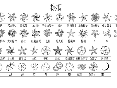 棕榈灌木植物 图库