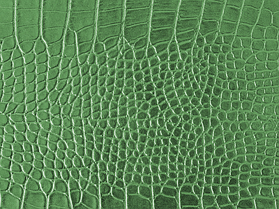 绿色鳄鱼皮