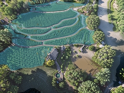 现代乡村梯田 研学插秧体验区