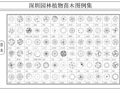 深圳园林植物苗木图例 图库