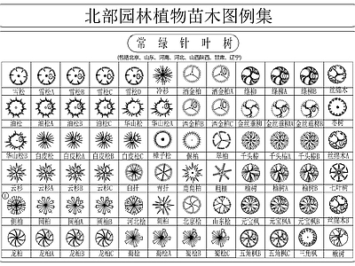 北部园林植物苗木图例集 图库