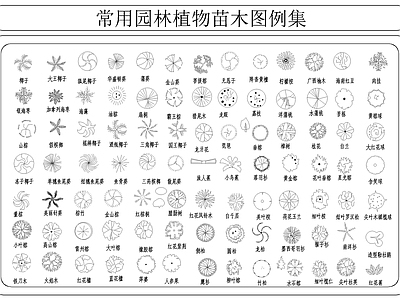 常用园林植物苗木图例集 图库