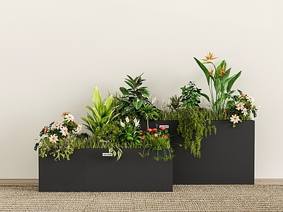 现代植物花箱