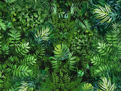 绿植墙植物墙