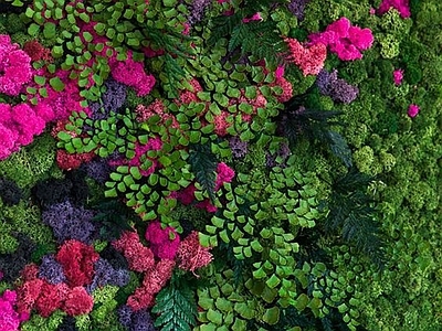 绿植墙植物墙