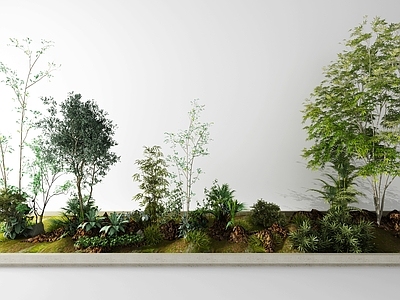 植物堆 小品 室内 墙 小景 植物搭配造型