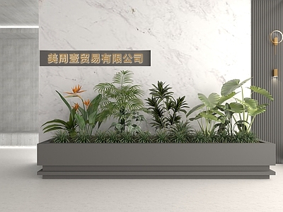 现代绿植花箱 植物组合 植物 植物堆 户外植物 移动水泥花池