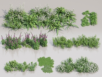 花草花卉合集