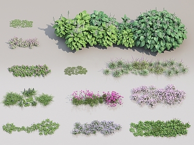 花草花卉合集
