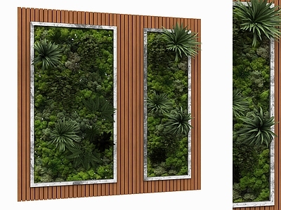 花草植物墙