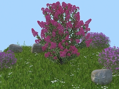 花草组合