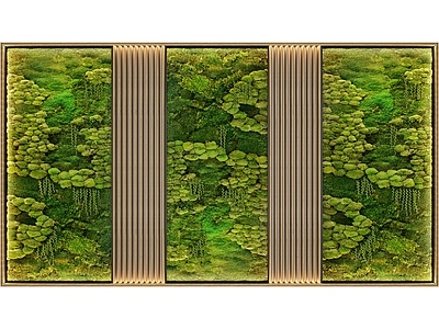 苔藓绿植墙