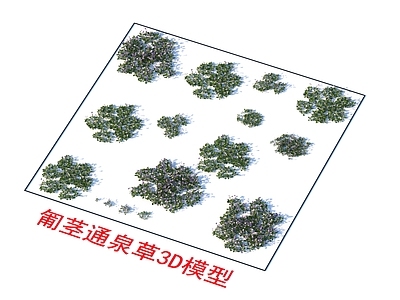 植物 匍茎通泉草