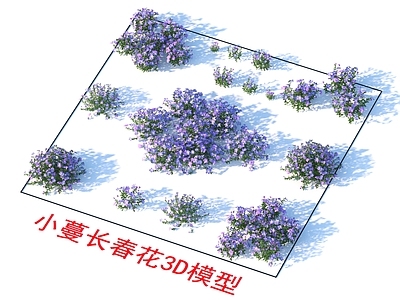 小蔓长春花 植物 灌木