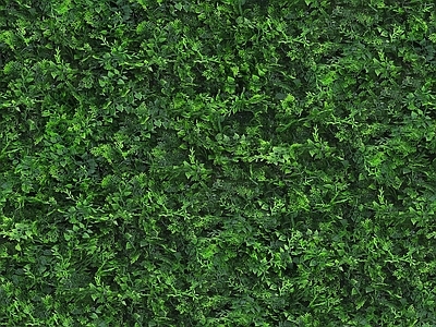 无缝绿植墙