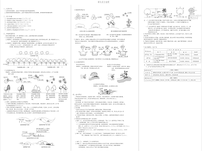 景观绿化设计说明