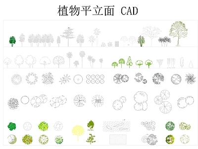 植物图库