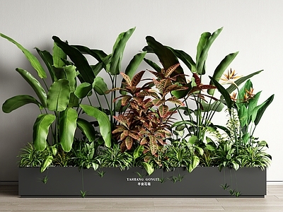 现代绿植花箱 移动花箱 室内植物造景 植物堆