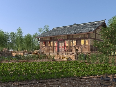 中式乡村庭院 菜园 蔬菜园 农作物 茄子 苹果树 瓦房 民房