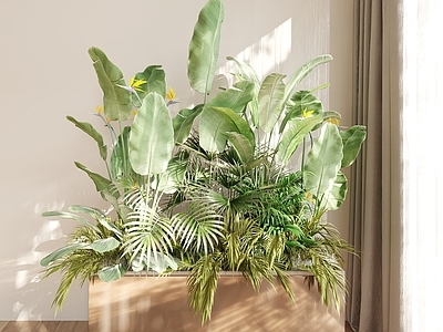 现代花箱