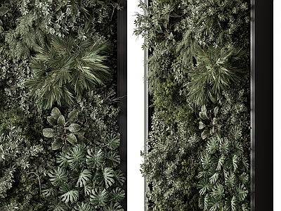 植物墙 绿植墙