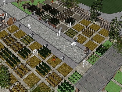 现代乡村庭院 小菜园 农作物