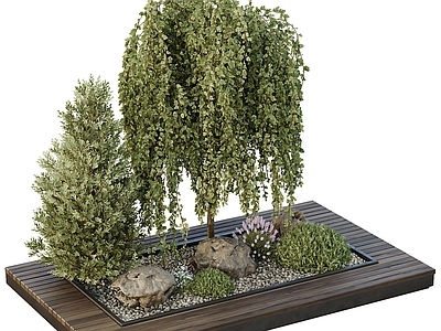 现代植物造景 植物堆 花圃