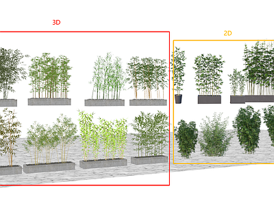 3D和2D竹子摆盆 盆栽