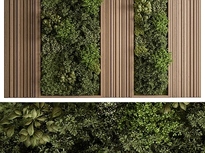 植物墙 墙