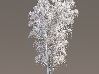 现代冬季雪树 冬天树 雪景植物 雪树 雪景树木 树木 枯枝