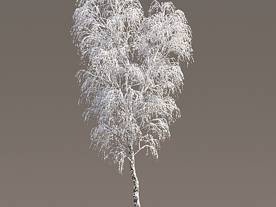 现代冬季雪树 雪景树 雪景森林 雪树 冰雪树 积雪树 冬季树木