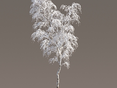 现代雪景冬天树雪树植物冬季雪树 冰冻树 树