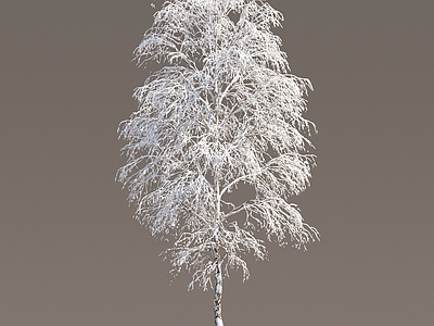 现代冬季雪树 冰雪树 冰冻树 雪树 雪景植物 雪景树 树