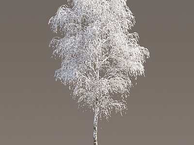 冬季雪树冬季树木雪景树 落叶树 冬季树 冰雪树 积雪树 行道树 雪景松树