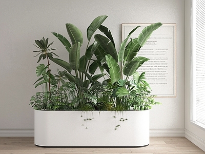 现代花箱 盆景