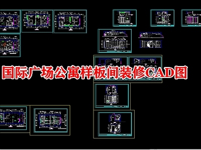 国际广场单身公寓装修图 施工图 公寓