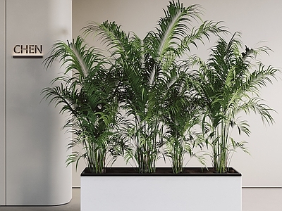 现代绿植花箱