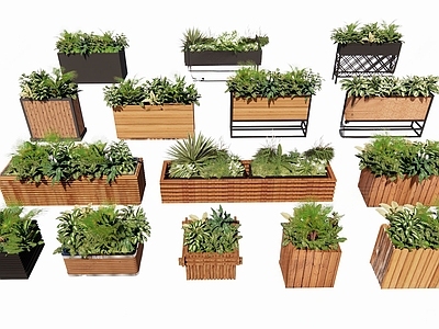 现代花箱 植物组合