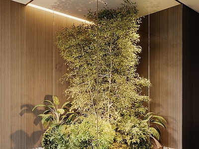 现代植物景观造景 小品 植物组合