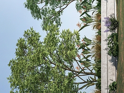 现代景观植物 树 花卉植物 花草灌木 树木