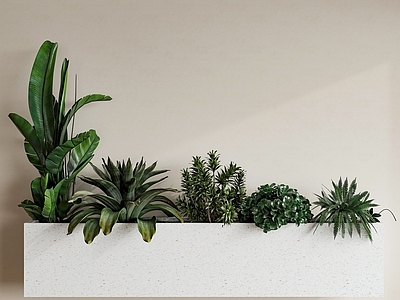 现代绿植花箱 植物组合