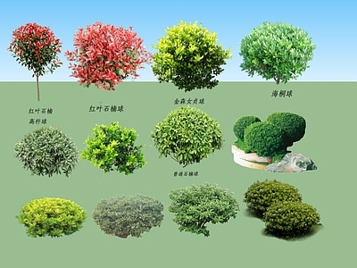 2D绿色植物树