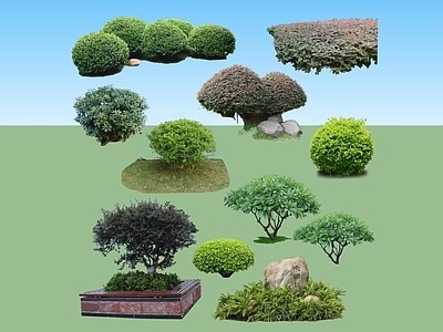 2D绿色植物 树